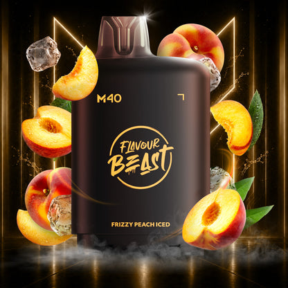 Level X Flavour Beast M40 160K Pod Canada | 42CLOUDZ